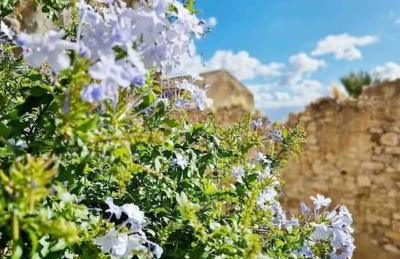 Casa Al Plumbago - Foto 36