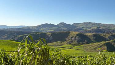 L' Antica Trebbia - Rooms - Foto 3