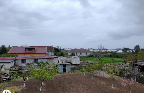 IDA S Apartament - Photo 15