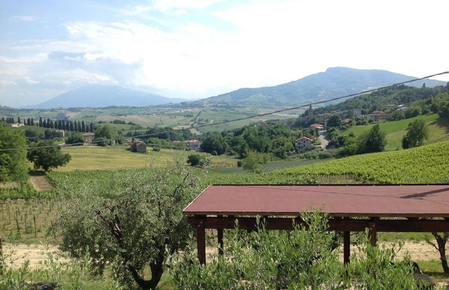 Agriturismo Terre Vineate - Foto 42