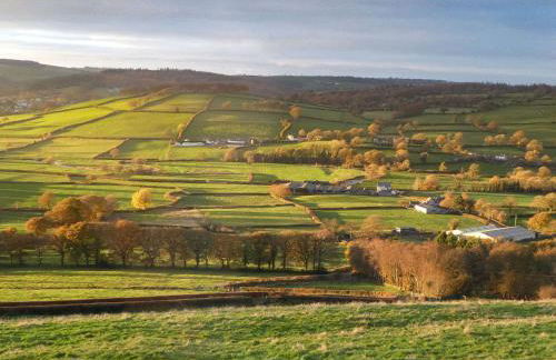 Coedmor Cottages - Foto 39