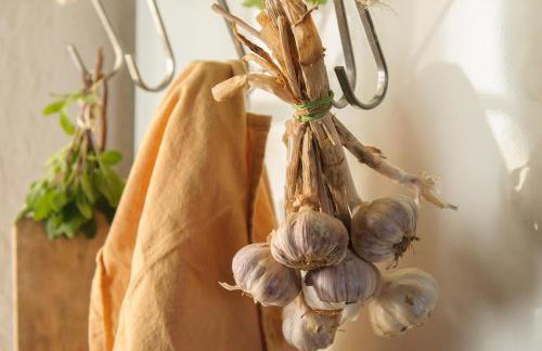 Villa Mare - a natural paradise near Motovun - Foto 20