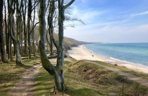 Lindenpalais Wohnung 24 - Foto 24