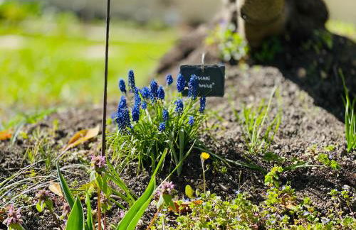 MonCoeur, maison et jardin à 700 m des Hospices de Beaune - Foto 37