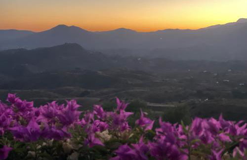 Finca Lechuza - Photo 33