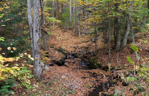 Ski in & out Spruce Glen Townhomes on Great Eastern Trail - Foto 56