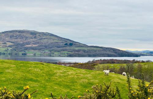 Trawsfynydd Stone Cottage - Foto 15