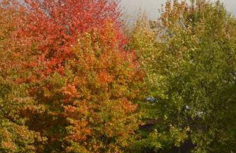 CHASIN' MEMORIES - Foto 57