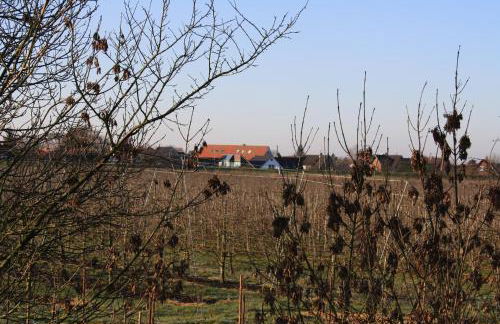 Fewo Elbblick im Haus Lühegarten - Photo 48