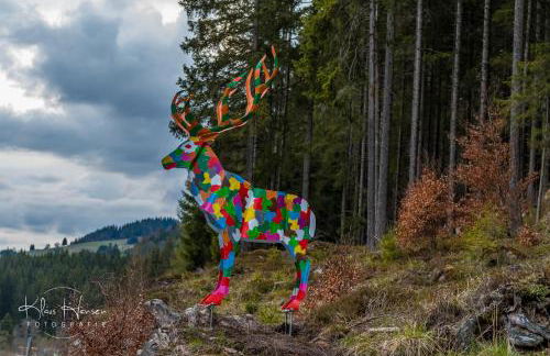 Ferienwohnung Sohnrey für 4 Gäste, Titisee-Neustadt - Foto 22