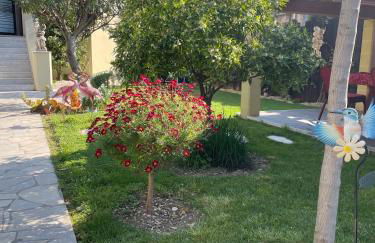 Les palmiers - Foto 9