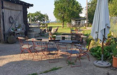 Landhof Lieg - Tierische Auszeit in unseren gemütlichen Ferienwohnungen - Foto 20