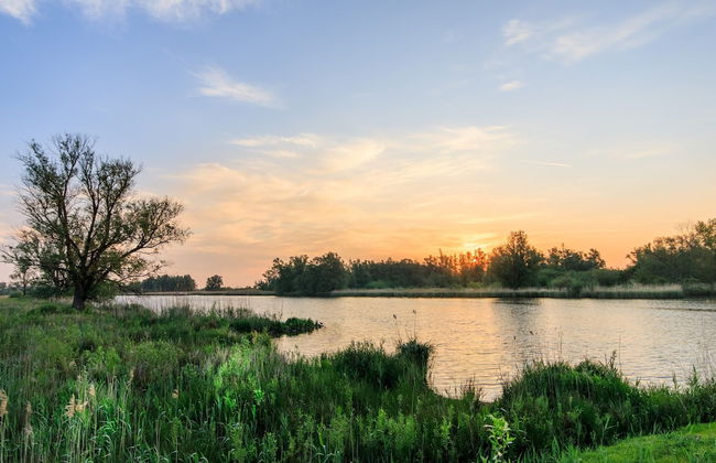 Cozy Vacation Home With Terrace - Photo 25