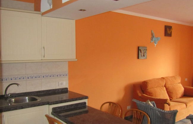 Olivia Sunbeach - Photo 28