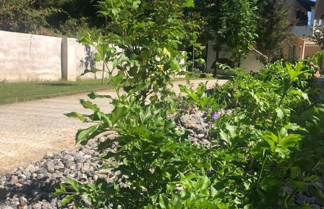 Folies Corfu Hotel Apartments - Foto 78