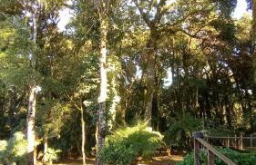 Casa Gramado Família - Foto 19