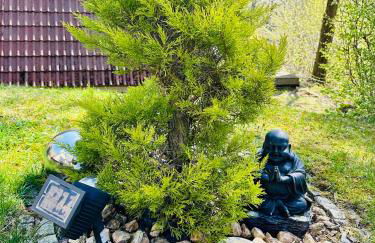 Natur Pur - Waldurlaub im Tiny House - Photo 6