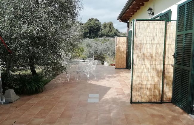 Agriturismo il Grande Ulivo - Foto 15