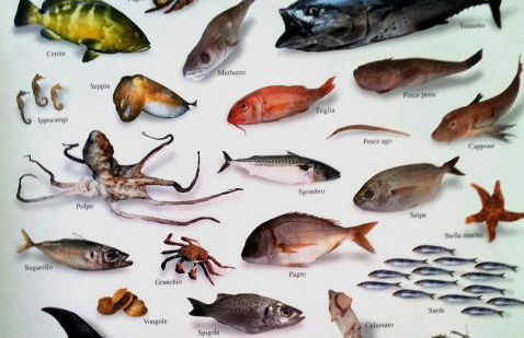 Casale Margherita Turismo Rurale - Foto 40