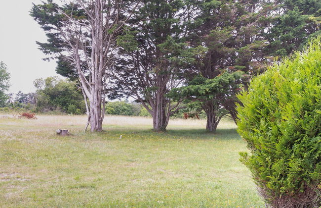 Les mielles - Foto 6