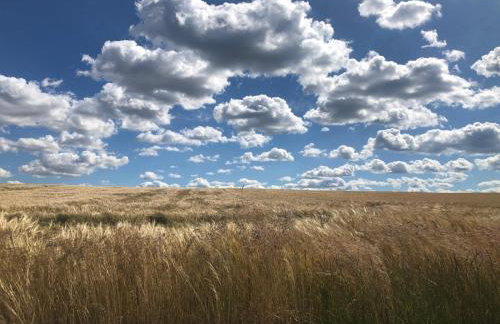 Oaza Spokoju - Foto 15