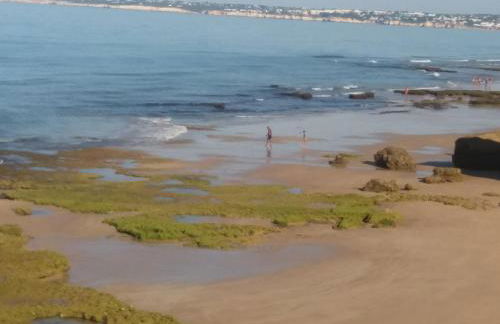 Encosta S. José -Vale Parra - Foto 21