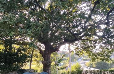 Casa da Escuela - Foto 23