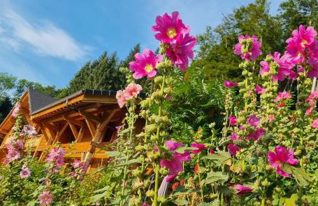 Chalet Arpitan - les Carroz - Grand Massif - Foto 41