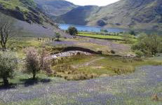 West Cumbria static caravan - Foto 45