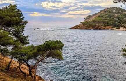 2 Pièces 45m2, Calme, Confort, Mer à 200m, Jardin, Terrasse, Piscine - Foto 50