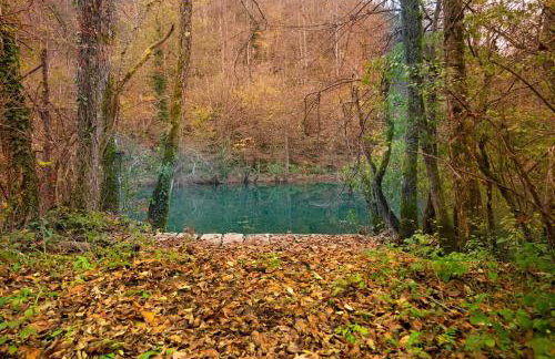 Ecotourism Mrežnica - Foto 32