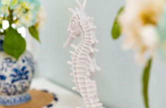 Cape Seacret - Foto 5