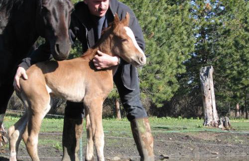 Whitebird Summit Lodge - Foto 38