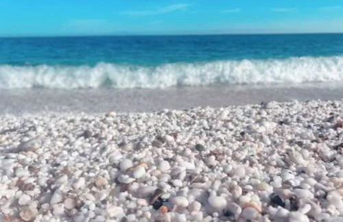 CASA NINA FURIANI CORSE Appartement en résidence - Foto 19