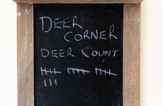 Deer Corner - Photo 22