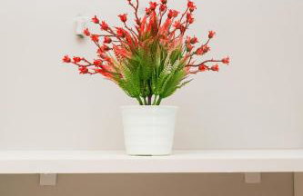 Apê Reformado SLZ Simplicidade & Conforto - Foto 19