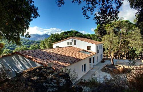 Tambor Del Llano - Foto 38