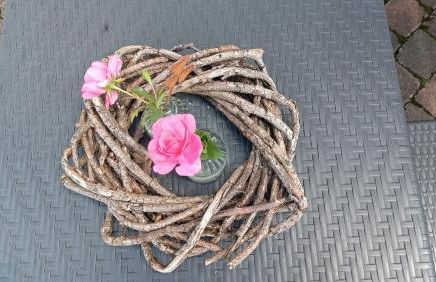 Kleines Paradies am Waldrand - Photo 18