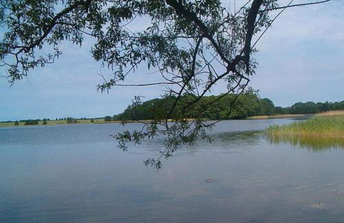 Holiday apartment in Parlow with parking - Foto 9