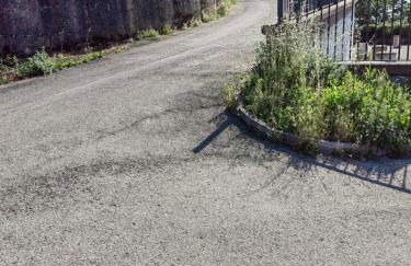 Il giglio bianco - Foto 24