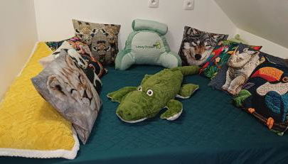 Beauval Saint Aignan,châteaux de la Loire gîte Le Royaume Sauvage - Foto 3