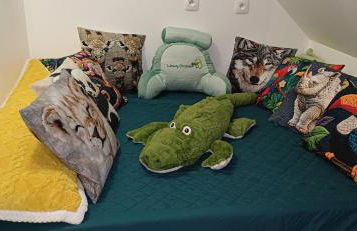 Beauval Saint Aignan,châteaux de la Loire gîte Le Royaume Sauvage - Foto 3