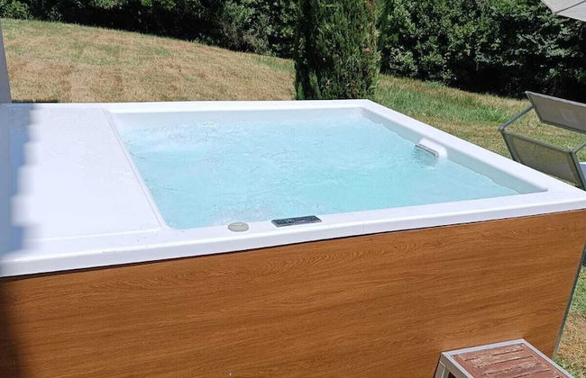 Gatto Bianco Tizzauli - Foto 18