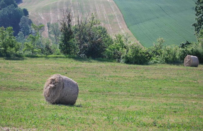 Farmhouse in Umbertide Near Golf Club - Foto 35