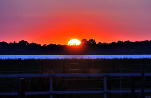 Agroturystyka Pod Kogutem - Foto 47