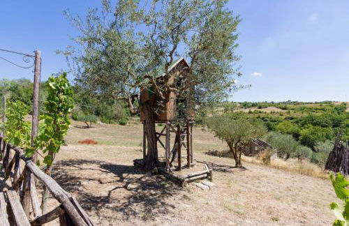 Agriturismo Torre Gialluise - Photo 78