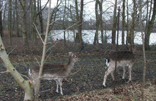 Apartment Haus am Kiessee - Mediterranes Flair mit Seeblick by Interhome - Foto 21