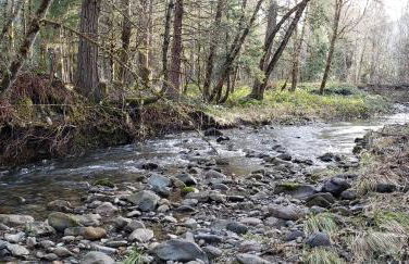 Blissful Solitude Cottage - Foto 46