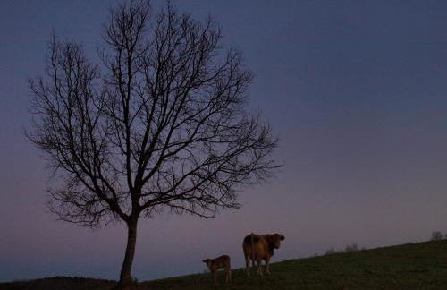 Casa Rural El Cabezo de Sierra de Gata - Foto 58