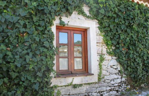 Chou da Covinha - Foto 1